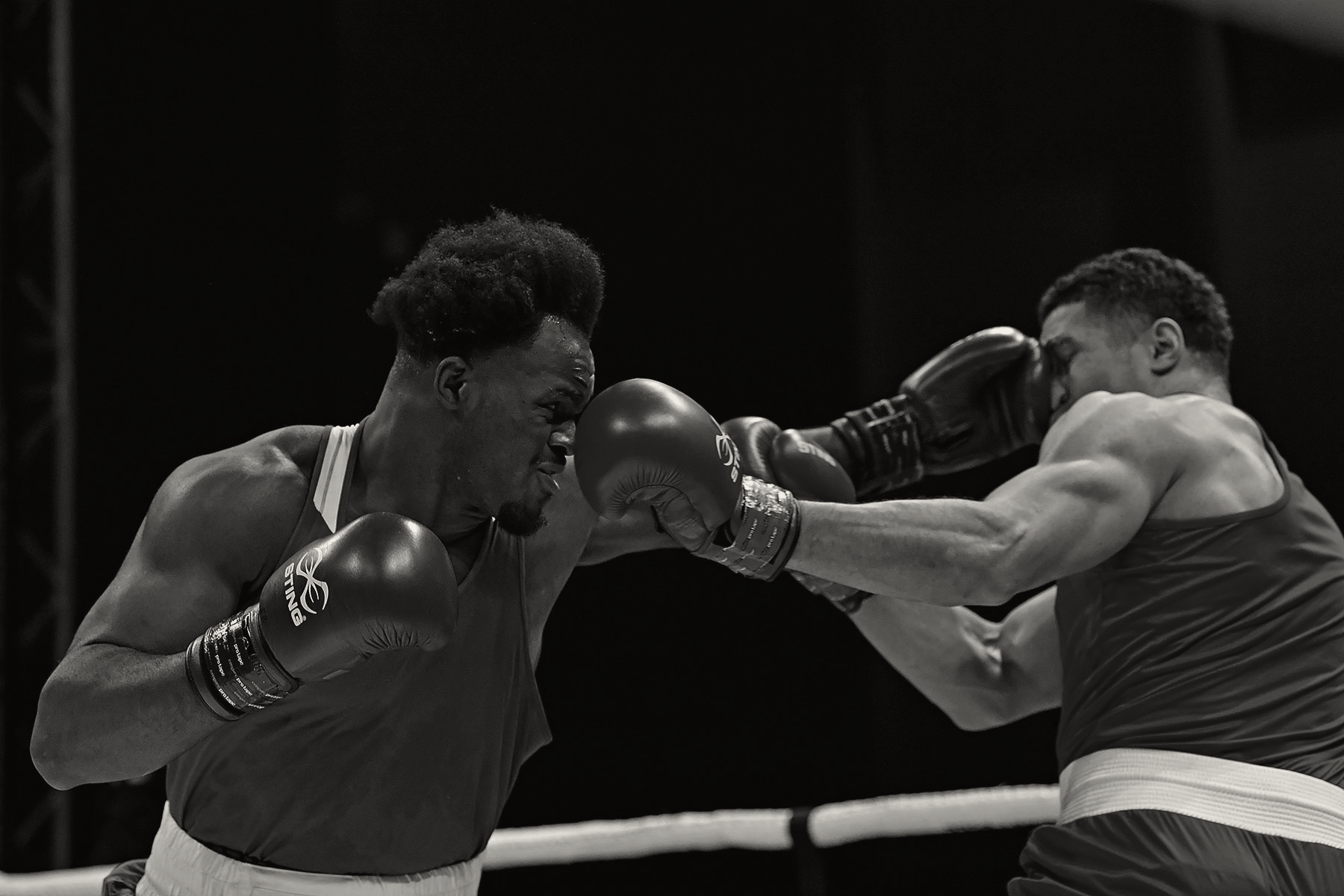 NEWS World Boxing